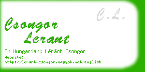 csongor lerant business card